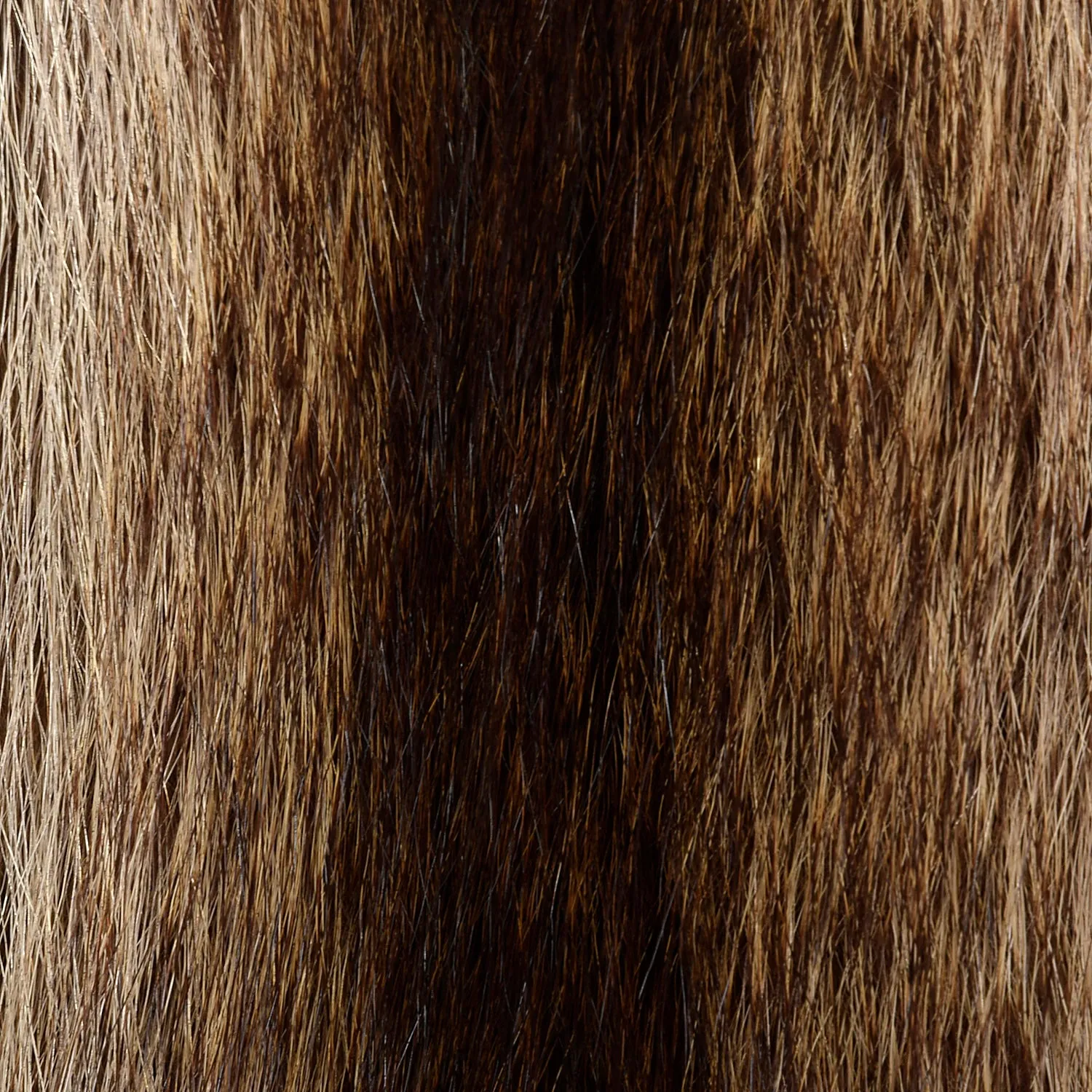 Medium 1970s Raccoon Fur Coat