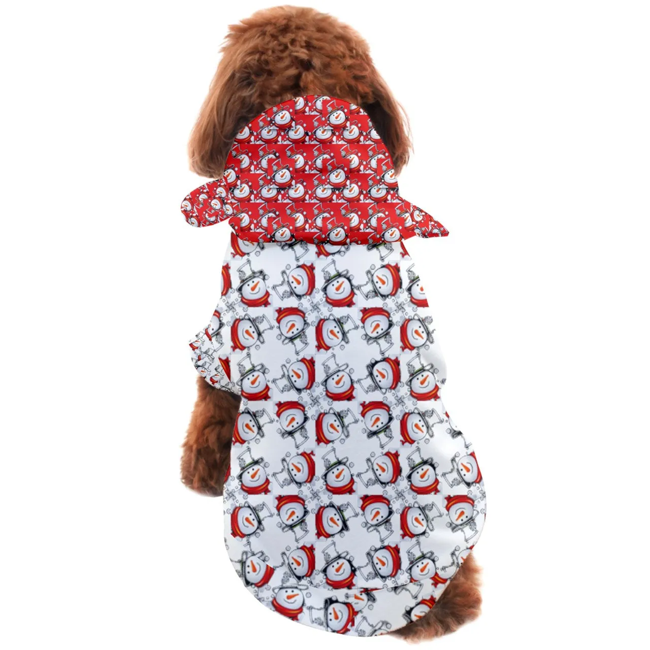 Snow Man's Delight Matching Christmas Dog Coat