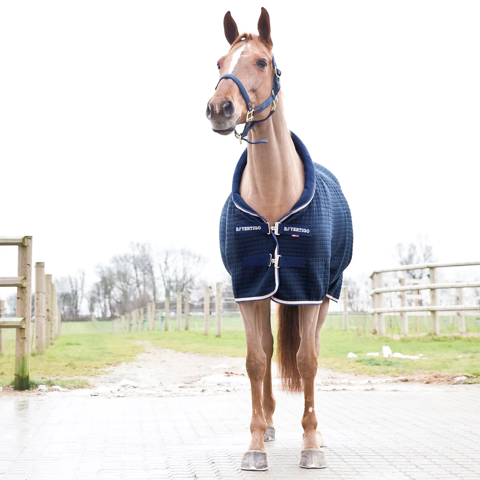 Thermo Rug Theo by B Vertigo