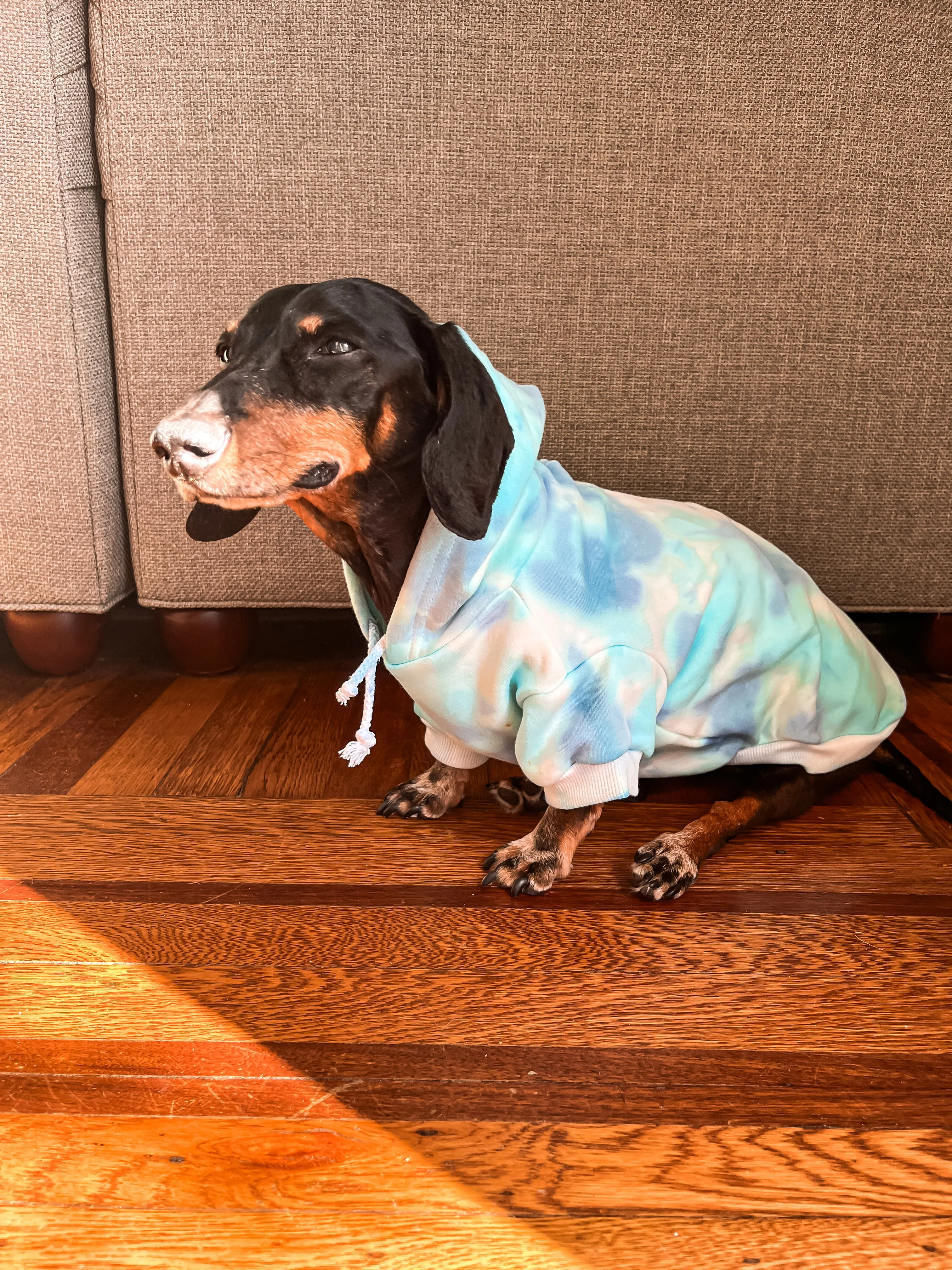 Tie-Dye Hoodie Sweatshirt for Pets