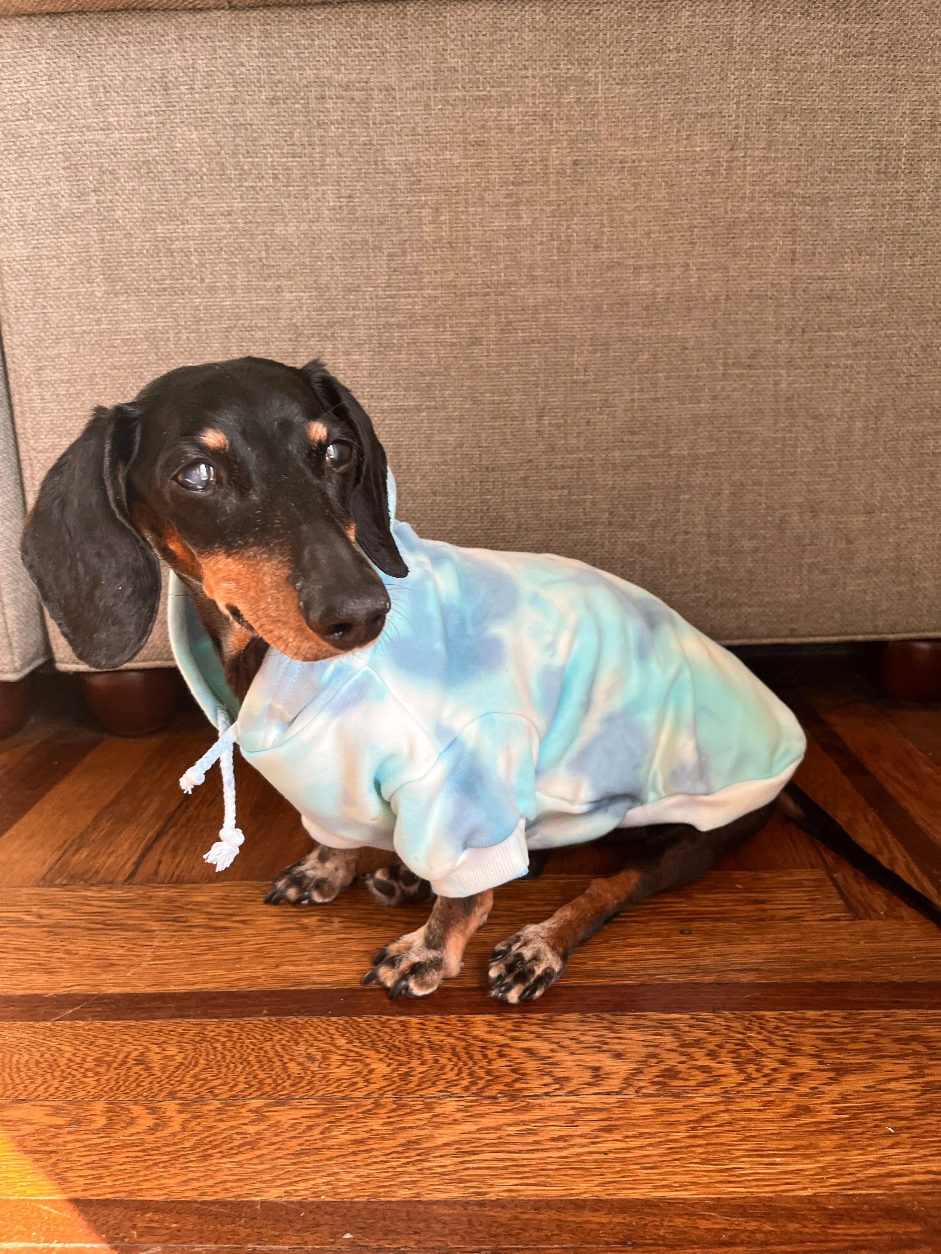 Tie-Dye Hoodie Sweatshirt for Pets