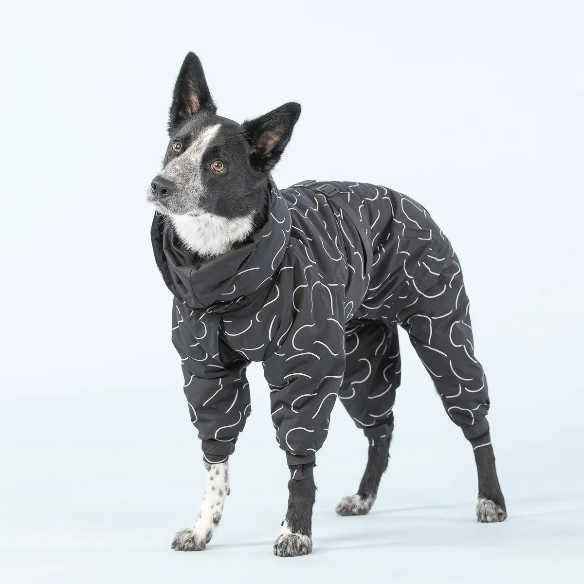 Winter Dog Suit